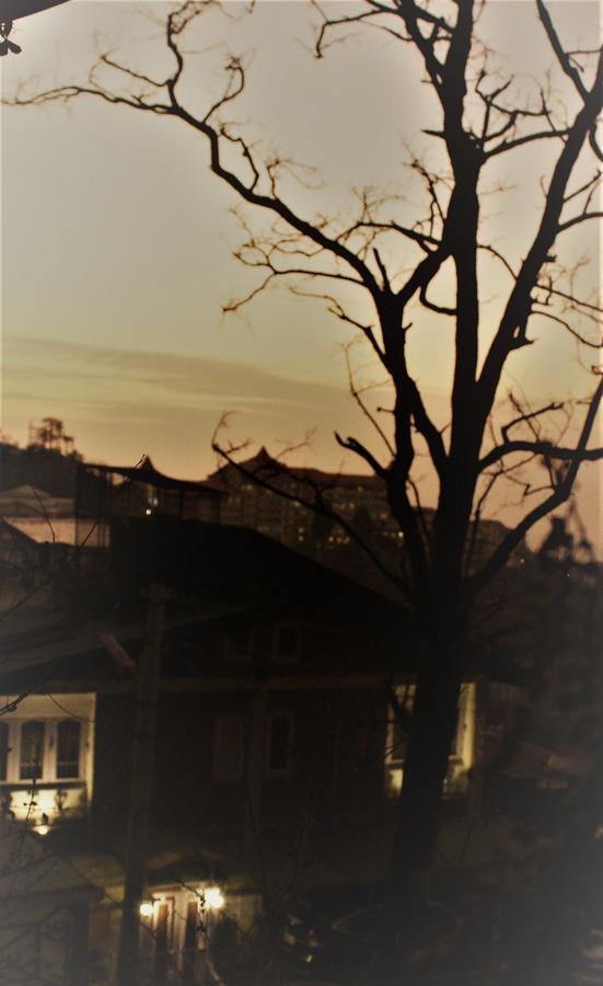 Prakash Cottage Шімла Екстер'єр фото